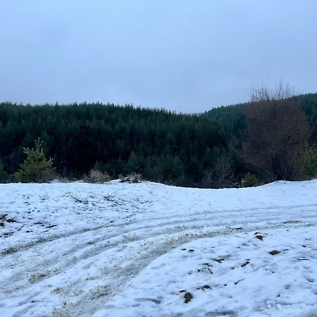 2-room Forest Retreat - Fireplace, Veranda, Bbq, Views Apartmán *