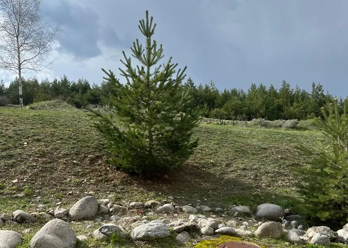 Appartement 2-room Forest Retreat - Fireplace, Veranda, Bbq, Views Bansko