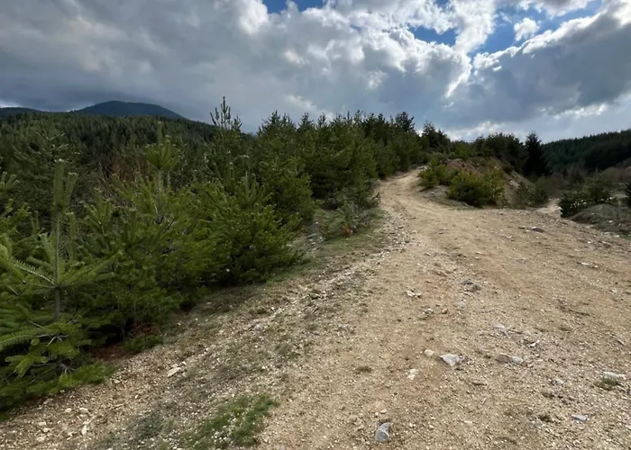 2-room Forest Retreat - Fireplace, Veranda, Bbq, Views * Bansko