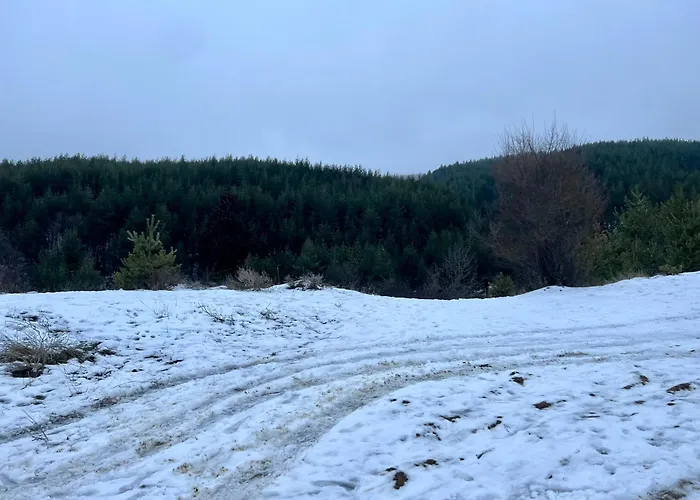 2-room Forest Retreat - Fireplace, Veranda, Bbq, Views Appartement *